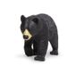 Safari Ltd Black Bear