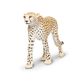 Safari Ltd Cheetah Wildlife Wonders