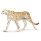 Safari Ltd Cheetah Wildlife Wonders