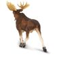 Safari Ltd Moose Wildlife Wonders
