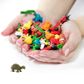 Safari Ltd Tortoises Good Luck Minis 192 Pieces