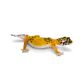 Safari Ltd Leopard Gecko