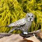 Safari Ltd Great Grey Owl