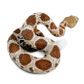 Safari Ltd Western Diamondback Rattlesnake Toy