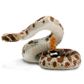 Safari Ltd Western Diamondback Rattlesnake Toy