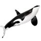 Safari Ltd Type D Orca Toy Figure