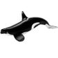 Safari Ltd Type D Orca Toy Figure