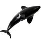 Safari Ltd Type D Orca Toy Figure