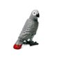 Safari Ltd African Grey Parrot Toy Figure