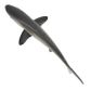 Safari Ltd Silky Shark Toy Figure