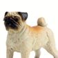 Safari Ltd Pug Toy Dog Figure