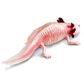 Safari Ltd Axolotl Toy Figure