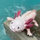 Safari Ltd Axolotl Toy Figure