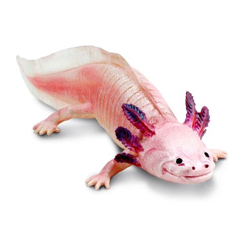 Safari Ltd Axolotl Toy Figure