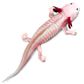 Safari Ltd Axolotl Toy Figure