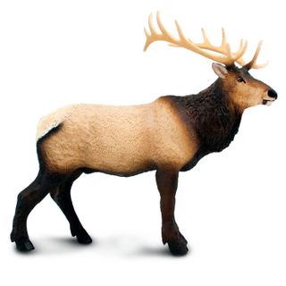 Safari Ltd Elk Toy Figure