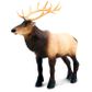 Safari Ltd Elk Toy Figure