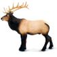 Safari Ltd Elk Toy Figure