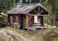 Woodland Scenics HO Cozy Cabin