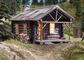 Woodland Scenics N-Scale Cozy Cabin