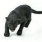 Safari Ltd Black Panther