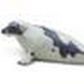 Safari Ltd Harp Seal