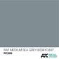 AK Interactive Real Colours RAF Medium Sea Grey Bs381C/637 - 10ml