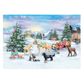 Playmobil Advent Calendar Christmas Sleigh Ride