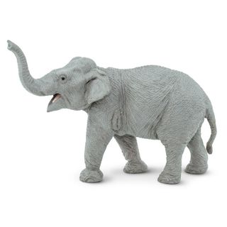 Safari Ltd Asian Elephant