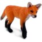 Safari Ltd Red Fox Kit