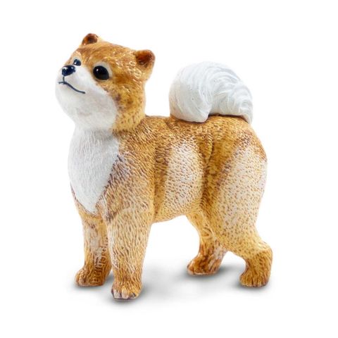 Safari Ltd Pomeranian