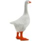 Safari Ltd Goose