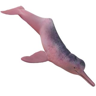 Safari Ltd Amazon River Dolphin