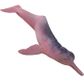 Safari Ltd Amazon River Dolphin