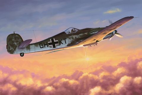 Hobbyboss 1:48 Focke-Wulf Fw190D-10