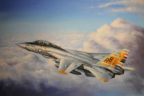 Hobbyboss 1:48 F-14A Tomcat