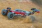 DHK Hobby Wolf II 1:10 Buggy Brushed 4WD