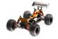 DHK Hobby Raz-R 1:10 Truggy Brushed 4WD