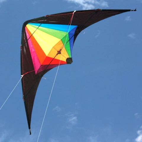 Kites Kite Black Widow Stunter 1.5 M Wingspan