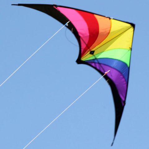Kites Kite Prism Stunter 1.37 M Wingspan