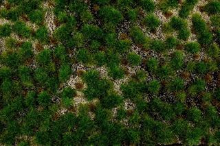 Bachmann Western Range Tufted Grass Mat1x11.5"x7.5" sheet