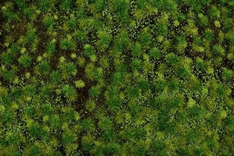 Bachmann Medium Green Tufted Grass Mat 1x 11.5" x 7.5" sheet