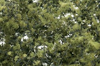 Woodland Scenics Olive Green Fine Leaf Foliage