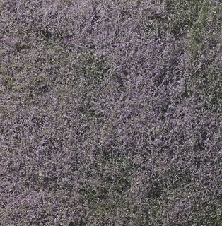 Woodland Scenics Purple Flowering Foliage