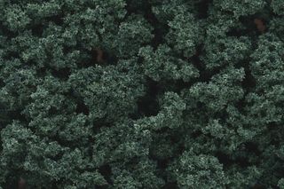 Woodland Scenics Dark Green Bushes (Bag)