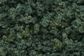 Woodland Scenics Dark Green Underbrush *