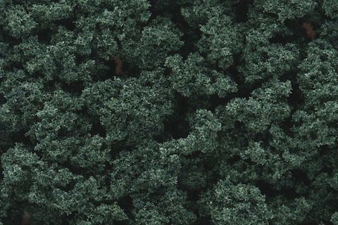 Woodland Scenics Dark Green Bushes