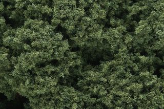 Woodland Scenics Medium Green Foliage Clusters
