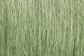 Woodland Scenics Light Green Field Grass