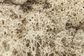Woodland Scenics Natural Lichen